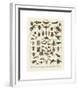 Insectes I-Adolphe Millot-Framed Giclee Print