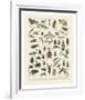 Insectes II-Adolphe Millot-Framed Art Print