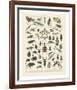 Insectes II-Adolphe Millot-Framed Art Print