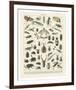 Insectes II-Adolphe Millot-Framed Art Print