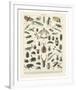 Insectes II-Adolphe Millot-Framed Art Print