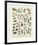 Insectes II-Adolphe Millot-Framed Art Print