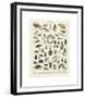 Insectes II-Adolphe Millot-Framed Giclee Print