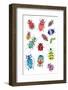 Insects 600-Isabelle Brent-Framed Photographic Print