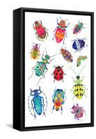 Insects 600-Isabelle Brent-Framed Stretched Canvas