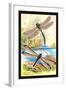 Insects: Aeshna Grandis and Stilbopteryx Costalis-James Duncan-Framed Art Print