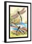 Insects: Aeshna Grandis and Stilbopteryx Costalis-James Duncan-Framed Art Print