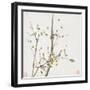 Insects and Flowers II-Ju Lian-Framed Art Print
