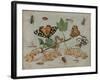 Insects and Fruit, c.1660-5-Jan Van, The Elder Kessel-Framed Giclee Print