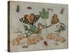 Insects and Fruit, c.1660-5-Jan Van, The Elder Kessel-Stretched Canvas