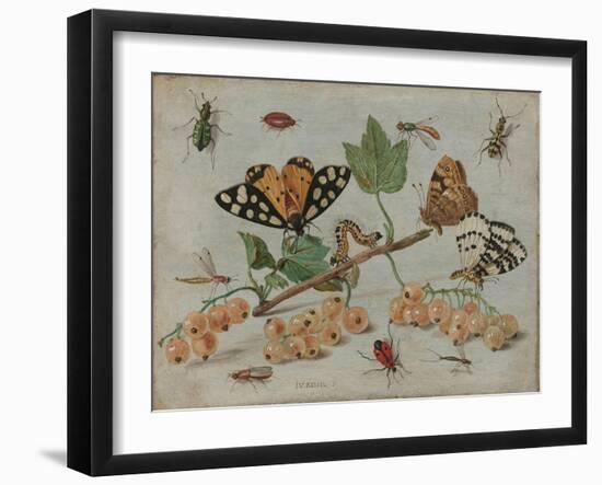 Insects and Fruit, c.1660-5-Jan Van, The Elder Kessel-Framed Giclee Print