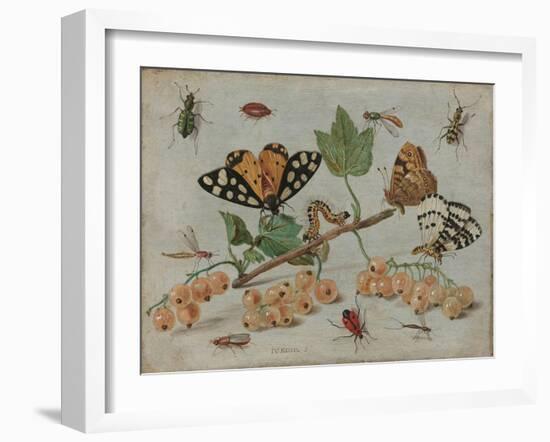 Insects and Fruit, c.1660-5-Jan Van, The Elder Kessel-Framed Giclee Print