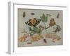 Insects and Fruit, c.1660-5-Jan Van, The Elder Kessel-Framed Giclee Print