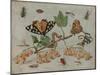 Insects and Fruit, c.1660-5-Jan Van, The Elder Kessel-Mounted Giclee Print