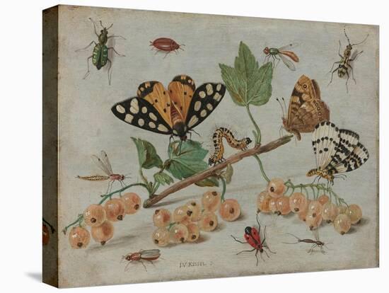 Insects and Fruit, c.1660-5-Jan Van, The Elder Kessel-Stretched Canvas
