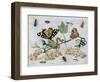 Insects and Fruit-Jan van Kessel-Framed Art Print