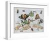 Insects and Fruit-Jan van Kessel-Framed Art Print