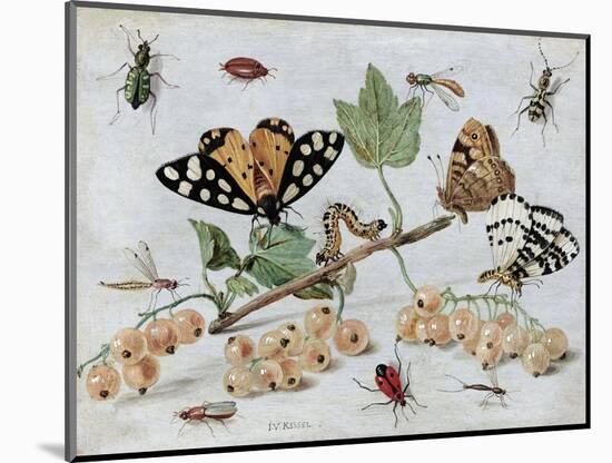 Insects and Fruit-Jan van Kessel-Mounted Art Print