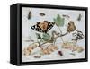 Insects and Fruit-Jan van Kessel-Framed Stretched Canvas
