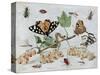 Insects and Fruit-Jan van Kessel-Stretched Canvas