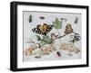 Insects and Fruit-Jan van Kessel-Framed Art Print