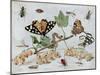 Insects and Fruit-Jan van Kessel-Mounted Art Print