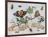 Insects and Fruit-Jan van Kessel-Framed Art Print