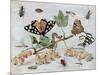 Insects and Fruit-Jan van Kessel-Mounted Art Print