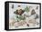 Insects and Fruit-Jan van Kessel-Framed Stretched Canvas