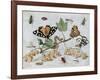 Insects and Fruit-Jan van Kessel-Framed Art Print