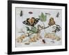 Insects and Fruit-Jan van Kessel-Framed Art Print