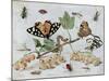 Insects and Fruit-Jan van Kessel-Mounted Art Print