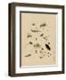 Insects and Toads-null-Framed Art Print