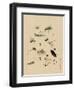 Insects and Toads-null-Framed Art Print