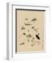 Insects and Toads-null-Framed Art Print