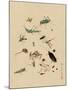 Insects and Toads-null-Mounted Art Print