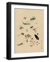 Insects and Toads-null-Framed Art Print