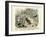 Insects, C.1860-null-Framed Giclee Print