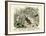 Insects, C.1860-null-Framed Giclee Print