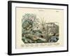 Insects, C.1860-null-Framed Giclee Print