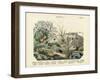 Insects, C.1860-null-Framed Giclee Print