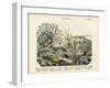 Insects, C.1860-null-Framed Giclee Print