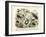 Insects, C.1860-null-Framed Giclee Print