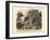 Insects, C.1860-null-Framed Giclee Print