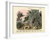 Insects, C.1860-null-Framed Giclee Print