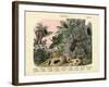 Insects, C.1860-null-Framed Giclee Print