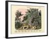 Insects, C.1860-null-Framed Giclee Print