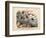 Insects, C.1860-null-Framed Giclee Print