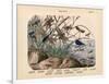 Insects, C.1860-null-Framed Giclee Print