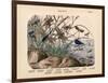 Insects, C.1860-null-Framed Giclee Print